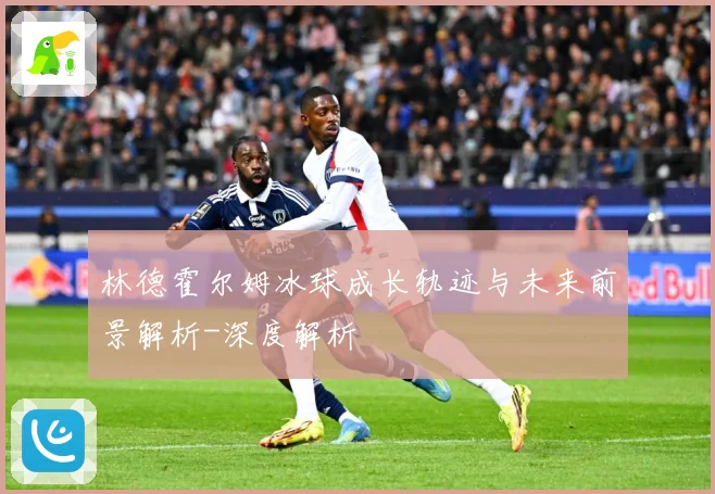 林德霍尔姆冰球成长轨迹与未来前景解析-深度解析